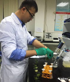 清溪食藥監分局年度抽檢成效顯著，筑牢食品藥品安全防線